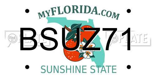 BSUZ71 Florida License Plate