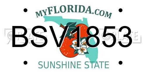 BSV1853 Florida License Plate