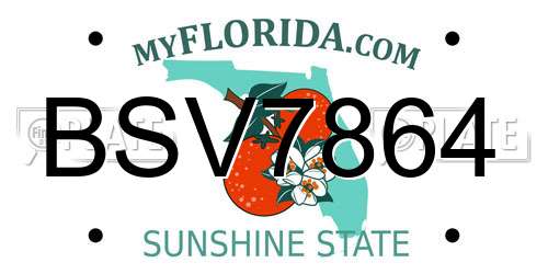 BSV7864 Florida License Plate