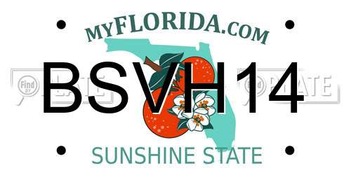 BSVH14 Florida License Plate