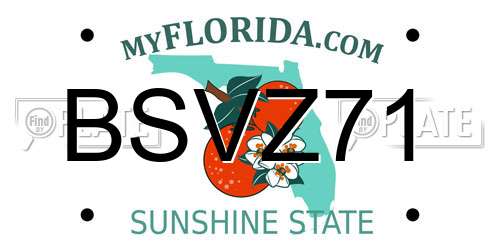 BSVZ71 Florida License Plate