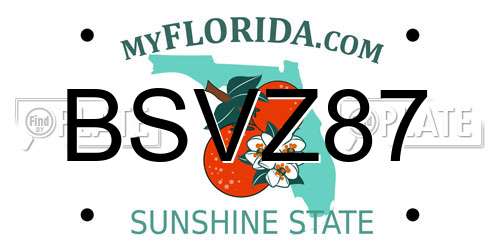 BSVZ87 Florida License Plate