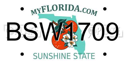 BSW1709 Florida License Plate
