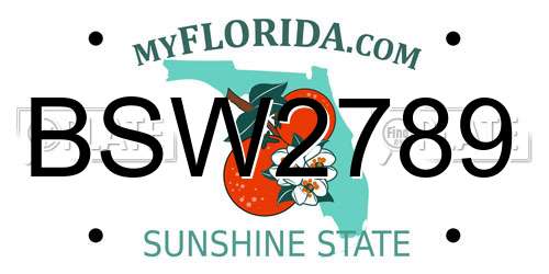 BSW2789 Florida License Plate