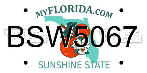 BSW5067 Florida License Plate