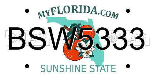 BSW5333 Florida License Plate