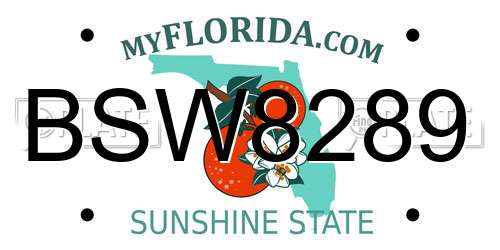 BSW8289 Florida License Plate