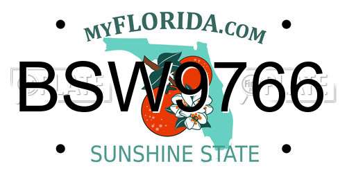 BSW9766 Florida License Plate