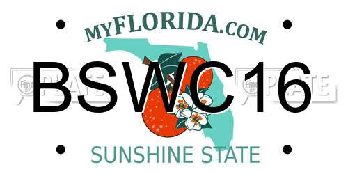 BSWC16 Florida License Plate