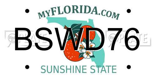 BSWD76 Florida License Plate