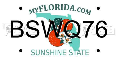 BSWQ76 Florida License Plate