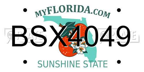 BSX4049 Florida License Plate