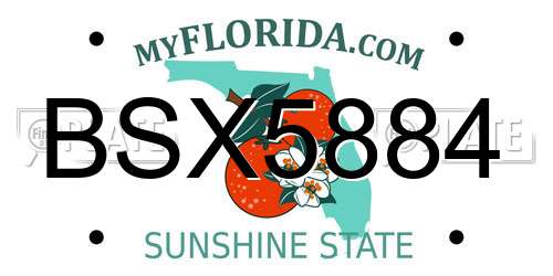 BSX5884 Florida License Plate