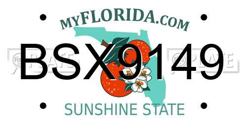 BSX9149 Florida License Plate