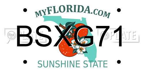 BSXG71 Florida License Plate