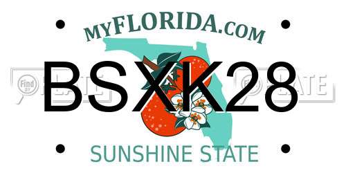 BSXK28 Florida License Plate