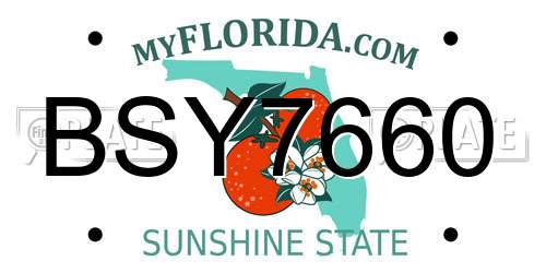 BSY7660 Florida License Plate