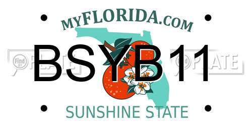 BSYB11 Florida License Plate