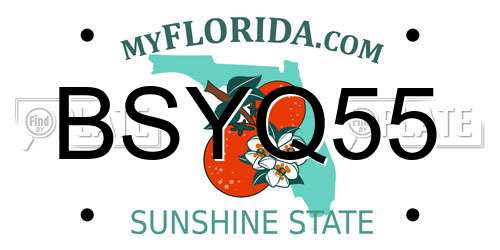 BSYQ55 Florida License Plate