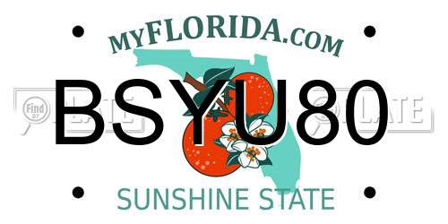 BSYU80 Florida License Plate
