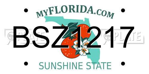 BSZ1217 Florida License Plate