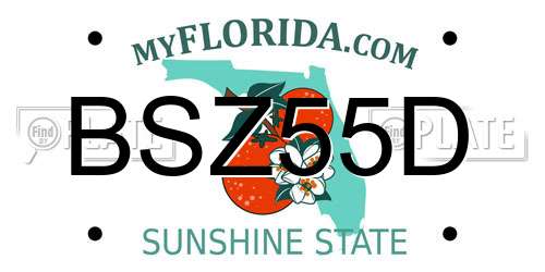 BSZ55D Florida License Plate