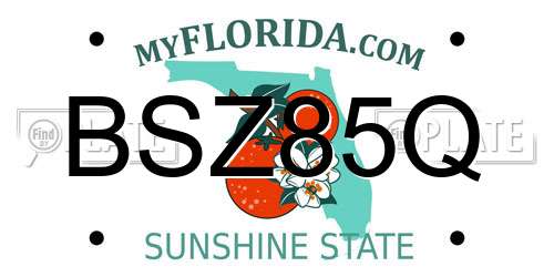 BSZ85Q Florida License Plate