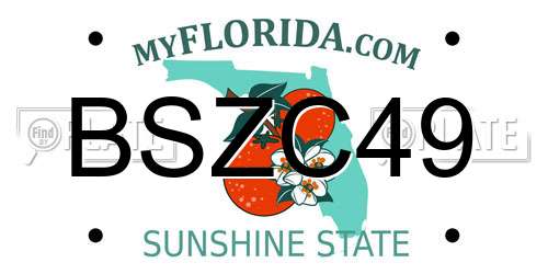 BSZC49 Florida License Plate