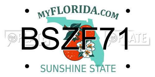 BSZF71 Florida License Plate