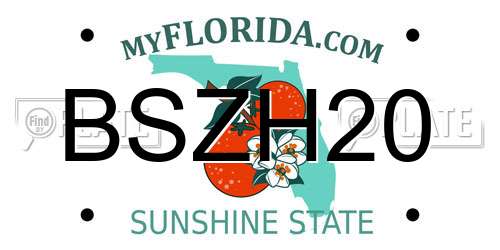 BSZH20 Florida License Plate