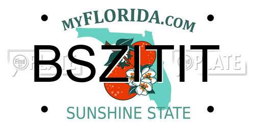 BSZITIT Florida License Plate