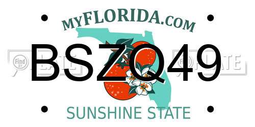 BSZQ49 Florida License Plate