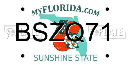 BSZQ71 Florida License Plate