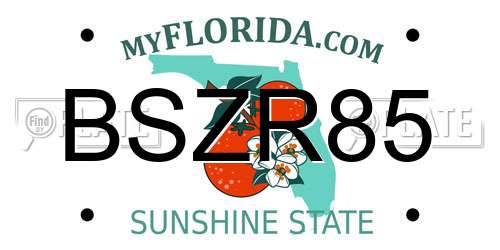 BSZR85 Florida License Plate