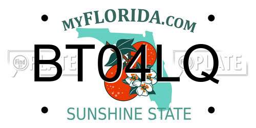 BT04LQ Florida License Plate