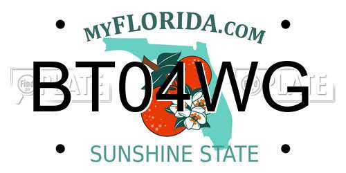 BT04WG Florida License Plate