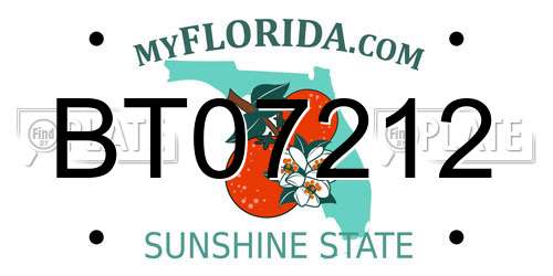 BT07212 Florida License Plate