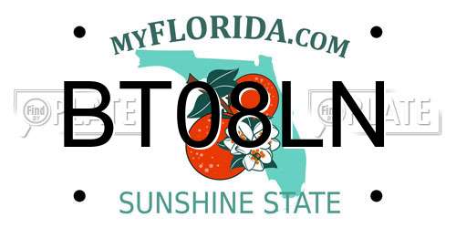 BT08LN Florida License Plate