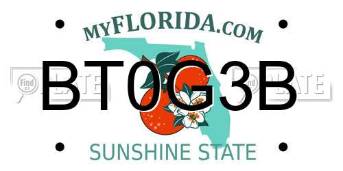 BT0G3B Florida License Plate