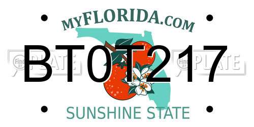 BT0T217 Florida License Plate