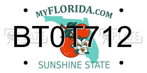 BT0T712 Florida License Plate