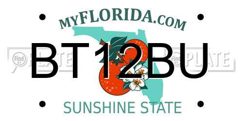BT12BU Florida License Plate