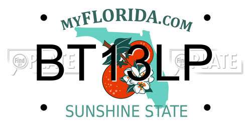 BT13LP Florida License Plate