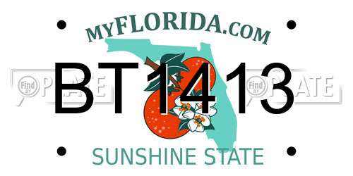 BT1413 Florida License Plate