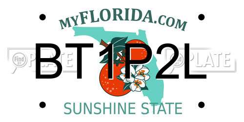 BT1P2L Florida License Plate