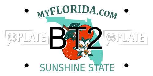 BT2 Florida License Plate