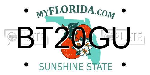 BT20GU Florida License Plate