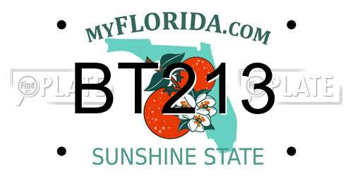 BT213 Florida License Plate