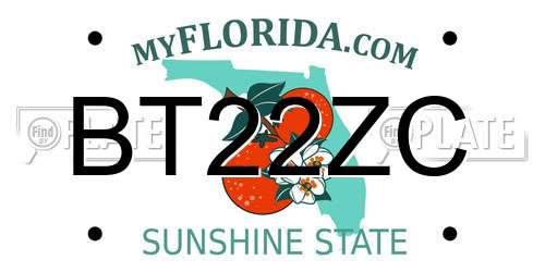 BT22ZC Florida License Plate