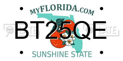 BT25QE Florida License Plate